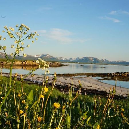 Sjarmerende Hus Med Orkesterplass Til Hav Og Fjell Stave Dış mekan fotoğraf