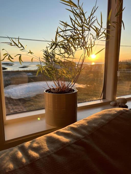 Sjarmerende Hus Med Orkesterplass Til Hav Og Fjell Stave Dış mekan fotoğraf