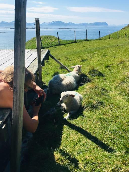 Sjarmerende Hus Med Orkesterplass Til Hav Og Fjell Stave Dış mekan fotoğraf
